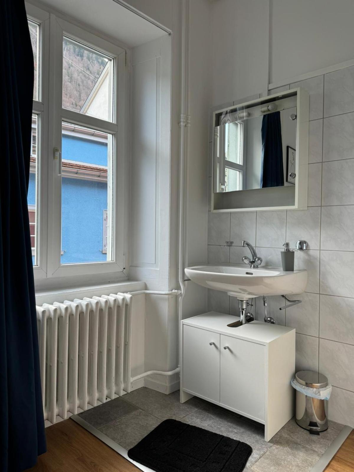 クールHaus Zum Ruetliアパートメント 部屋 写真